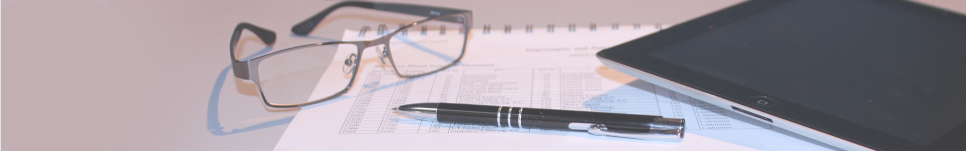 Professional & Support Services